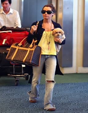 Louis Vuitton Dog Carrier by Ashley Tisdale -  Allabouthandbag.blogspot.com's blog